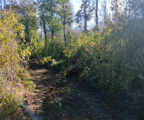 IMG_20240716_123349696