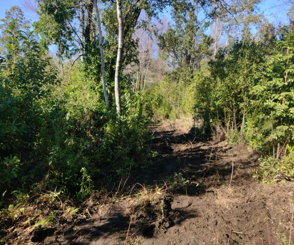 IMG_20240716_123426523