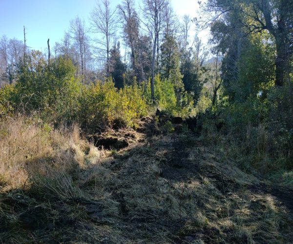 IMG_20240716_123514318