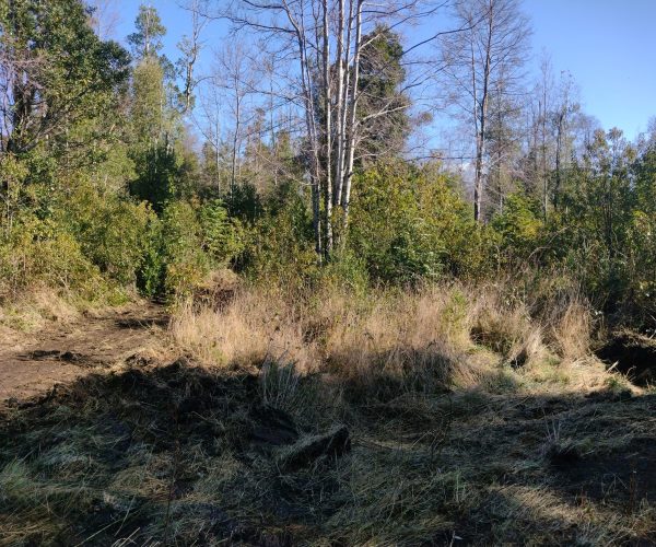 IMG_20240716_123524505