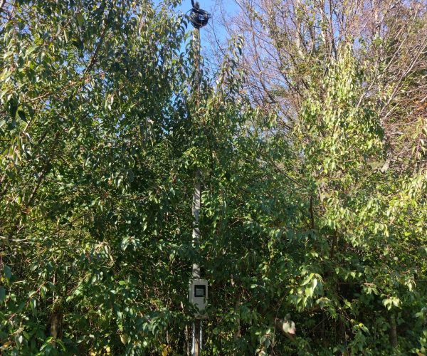 IMG_20240716_124138027